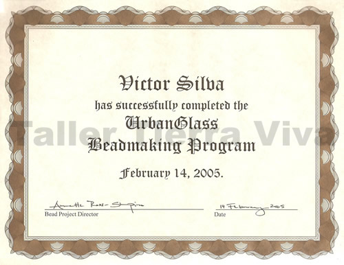 diploma murano victor silva